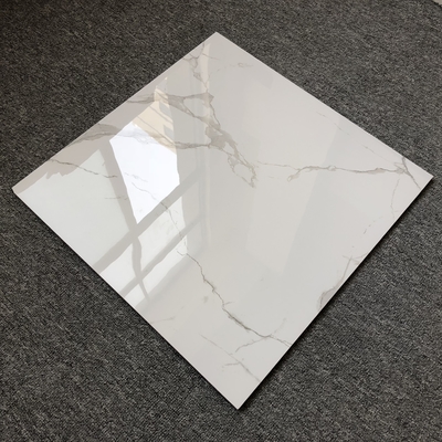 호텔 빌라 화석 타일 Carreaux Sol 60x60 거실의 흰색 배경 벽