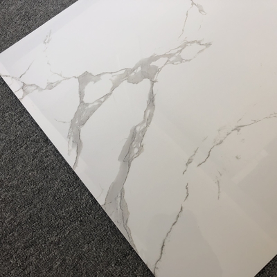 호텔 빌라 화석 타일 Carreaux Sol 60x60 거실의 흰색 배경 벽