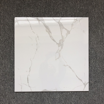 호텔 빌라 화석 타일 Carreaux Sol 60x60 거실의 흰색 배경 벽