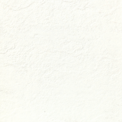 AAA 등급 흰색 균일 세라믹 바닥 타일 600x600 10mm 두께와 거친 표면